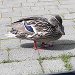 Photo taken by Denise H