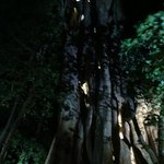 Photo taken by Khaled S