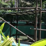 Photo taken by Kevin M