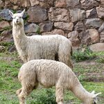 Photo taken by Joseph P