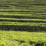 Photo taken by Catherine H