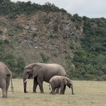 Photo taken by Martin D