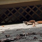 Photo taken by Dana F