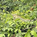 Photo taken by Kim L