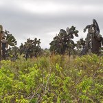 Photo taken by Natascia V