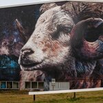 Photo taken by Erica B