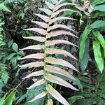 Photo taken by Sheila G