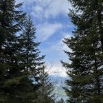 Photo taken by Laura H