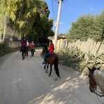 Photo taken by Nicole G