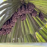 Photo taken by Patrice G