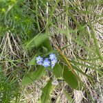 Photo taken by Deann M