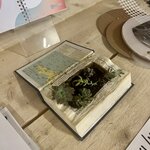 Photo taken by Erin J