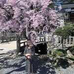 Photo taken by Sarah S