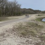 Photo taken by Monique L