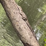 Photo taken by Kelsey D