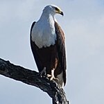 Photo taken by rhonda c