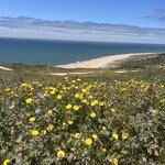 Photo taken by Rocky L