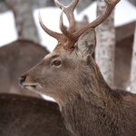 Photo taken by Iain M