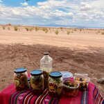 Photo taken by Lily N