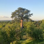 Photo taken by Michael Z