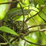 Photo taken by Ceinwen P