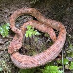 Photo taken by Marc A