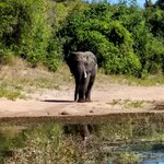 Photo taken by Kaye D