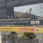 Photo taken by shelley w