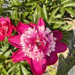 Photo taken by Kaya W