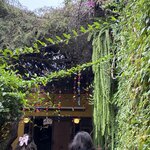 Photo taken by Kimberly A