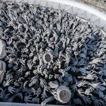 Photo taken by Natalia D