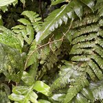 Photo taken by Paul F