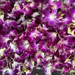 Photo taken by Pam B