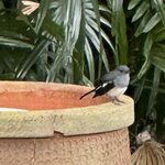 Photo taken by Fuad A