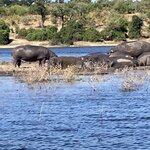 Photo taken by rhonda c