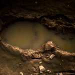 Photo taken by timothy m