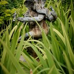 Photo taken by Steve B