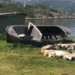 Photo taken by florence P