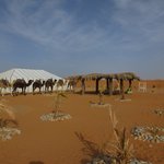 Photo taken by Karyn J