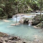 Photo taken by Paulette D