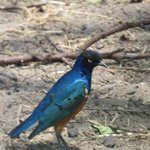 Photo taken by Kristin M