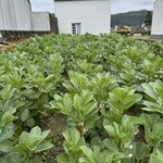 Photo taken by Catherine H