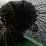 Photo taken by Ben S