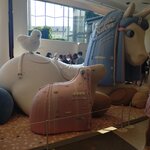 Photo taken by Janice D