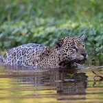 Photo taken by Matt W