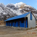 Photo taken by Wayne D