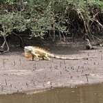 Photo taken by Paul F