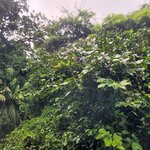 Photo taken by Esther B