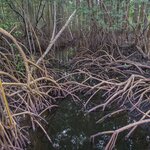 Photo taken by Linda W