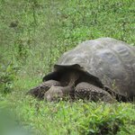 Photo taken by Barb M